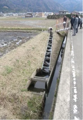 三方湖周辺の育成田と、魚が水田に出入りできるようにするための魚道